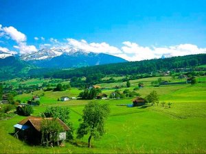 Dünyanın en sakin şehri Artvin'in Şavşat ilçesi oldu