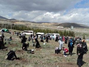Meram'da bin fidan toprakla buluştu