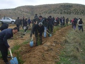 Fidanlar toprakla buluştu