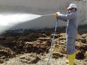 Karapınarda ilaçlama çalışması yapılıyor