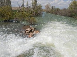 Tehlike çanları çalıyor
