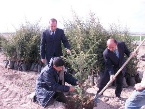 Emirgazi'de fidan dikimi kampanyası başlatıldı