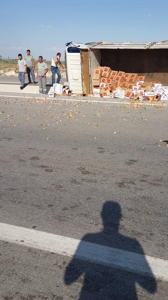 Tavşançalı'da kaza