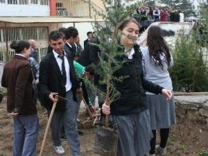 Beyşehir Lisesi'nde ağaç bayramı