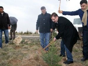 Avukatlar fidan dikmek için Akyokuş'ta buluştu