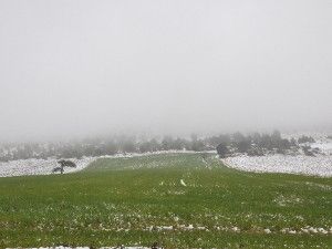 Ürünler ilaçla korunmalı