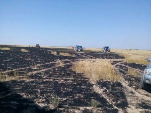 Buğday ekili 35 dekar alan yandı