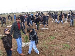 Yazıcıoğlu için hatıra ormanı oluşturuldu