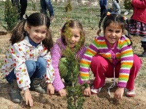 Cihanbeyli'de anaokulu öğrencileri fidan dikti