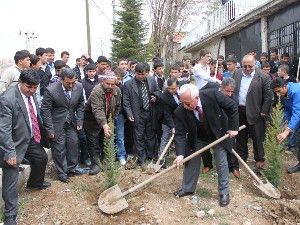 Seyrantepe Kuran Kursundan fidan dikimi
