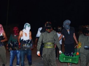 PKK'lılar kasalarla molotof taşıdı