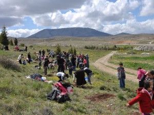 İlköğretim öğrencileri fidan dikti