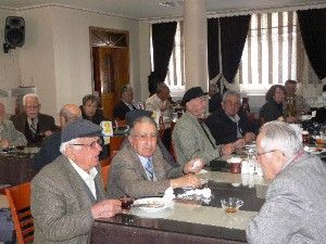 Doğaya salınan keçiler özgürlüğün tadını çıkarıyor