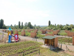 Beyşehir’de Hobi Bahçeleri Meyvelerini Verdi