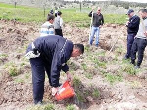 Akören'de bin fidan toprakla buluşturuldu