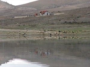 Baraj manzaralı arsalar satılığa çıkarıldı