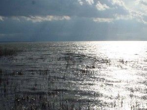 Beyşehir Gölünde kaçak avcılara suçüstü