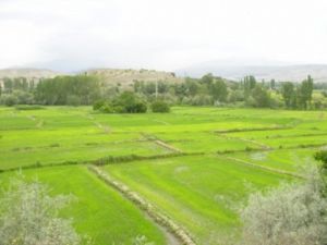 Konya'da belirlenen yeni tarım alanları