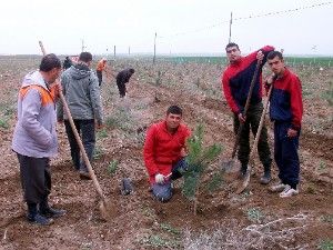 Anasınıfı öğrencileri fidan dikti