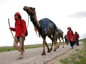 Çevreci grup Konya'da