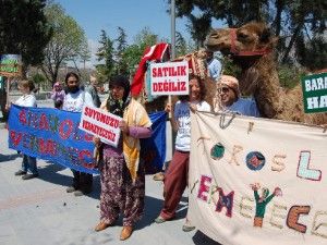 Çevrecilerden develi eylem