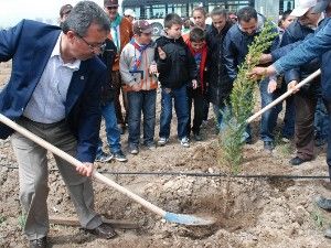 Karatay'da izcilere orman alanı