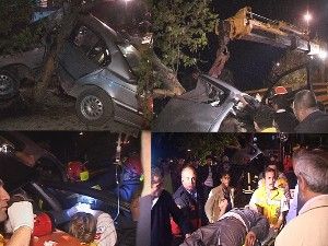 Otomobil ağaçta asılı kaldı