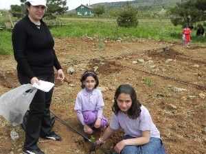 Akörende 250 bin fidan toprakla buluşturuldu