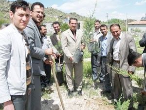 Karapınar'da din adamları fidan dikti
