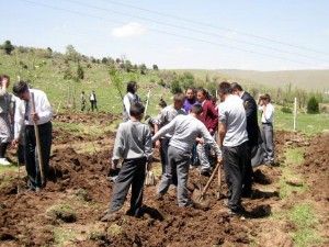 Kayasu İlköğretim Okulu'ndan hatıra ormanı