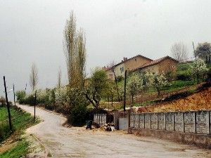 Bozkır'ın ortasında Karadeniz Havası