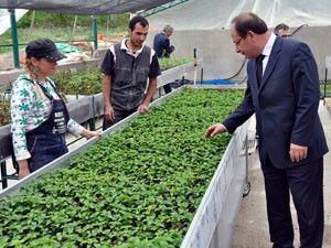 Ereğli Belediyesi kendi çiçeğini yetiştiriyor