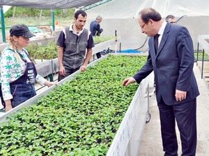 Ereğli Belediyesi kendi çiçeğini yetiştiriyor