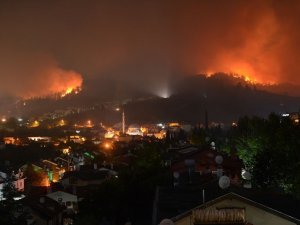 Bursa'da büyük orman yangını