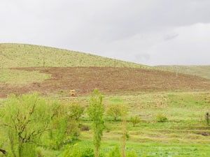 Halkapınar'da çıplak dağ kalmayacak