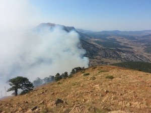 Konya'da çıkan orman yangını söndürüldü