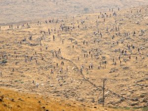 HDP'liler Cizre'ye akın etti