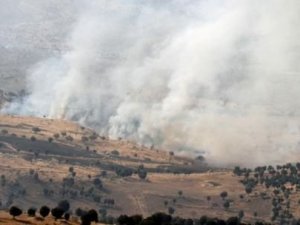 Tunceli'de 50 PKK'lı öldürüldü!