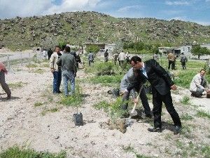 Karapınar'da ağaçlandırma bilinci gelişiyor