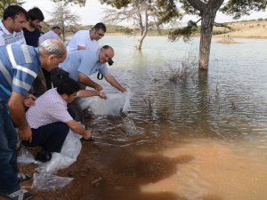 Büyükşehir’den Balıkçılığa Destek