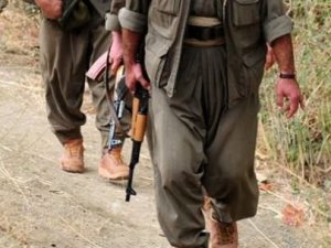 Tunceli'de PKK'nın üst düzey yöneticisi öldürüldü