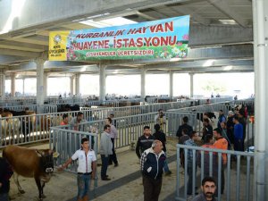 Büyükşehir Belediyesi Kurban Bayramı’na Hazır