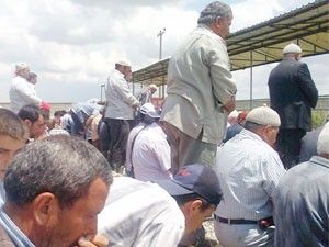 Sarayönü'nde köylüler şükür duasına çıktı