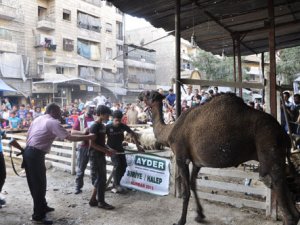 Suriye halkı büyük bir yük altında