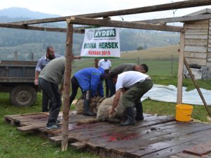 AYDER Bosna Hersek’de yüzleri güldürdü