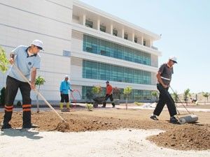 Karatay'da eğitim alanları yeşillendiriliyor