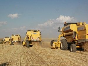 Eker, hububat alım fiyatını açıklandı