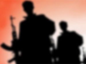 Tunceli'de bir terörist teslim oldu