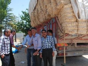 Besicinin gözü samancıda