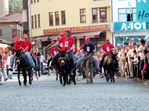 En Güzel Gözlü Eşek